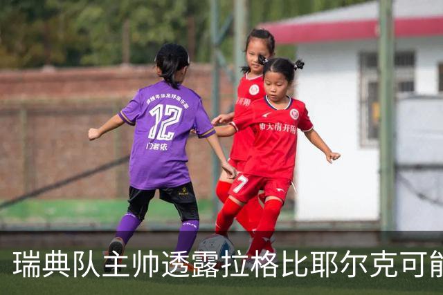 瑞典队主帅透露拉格比耶尔克可能缺席与罗马尼亚的较量